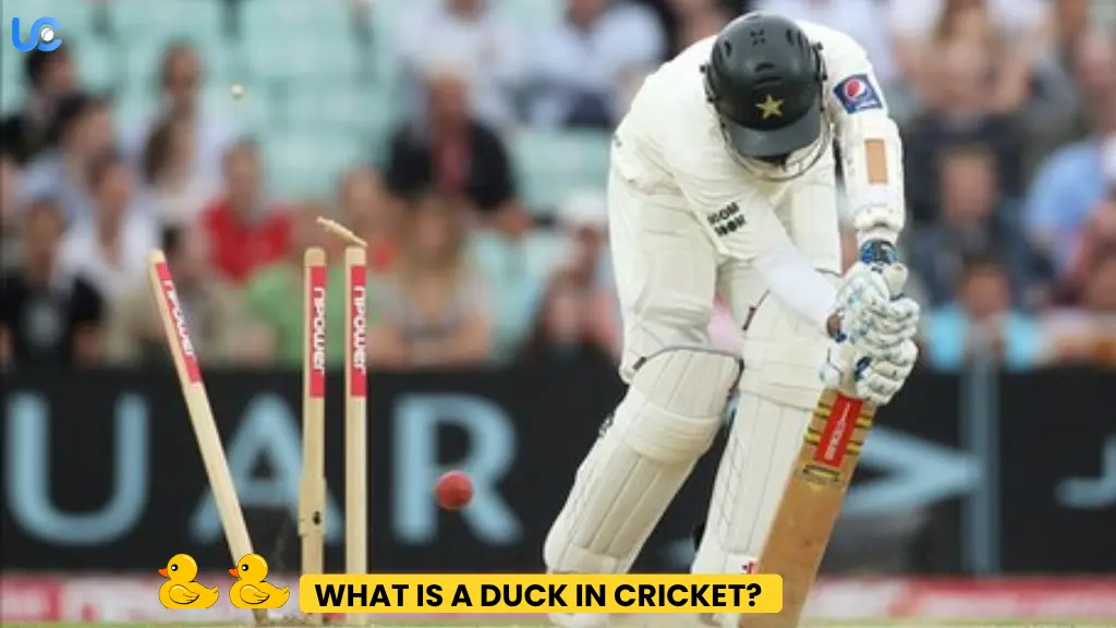 What Is a Duck In Cricket? What Are Its Different Types 