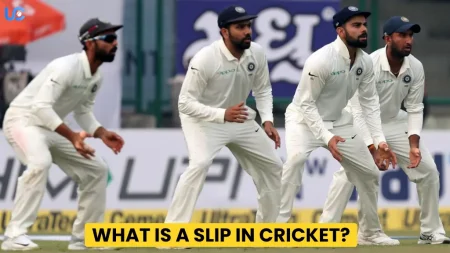 What is a Slip in Cricket? What is a Slip in Cricket?