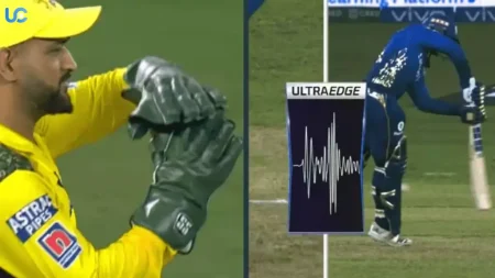 What is a Smart replay System in Cricket 