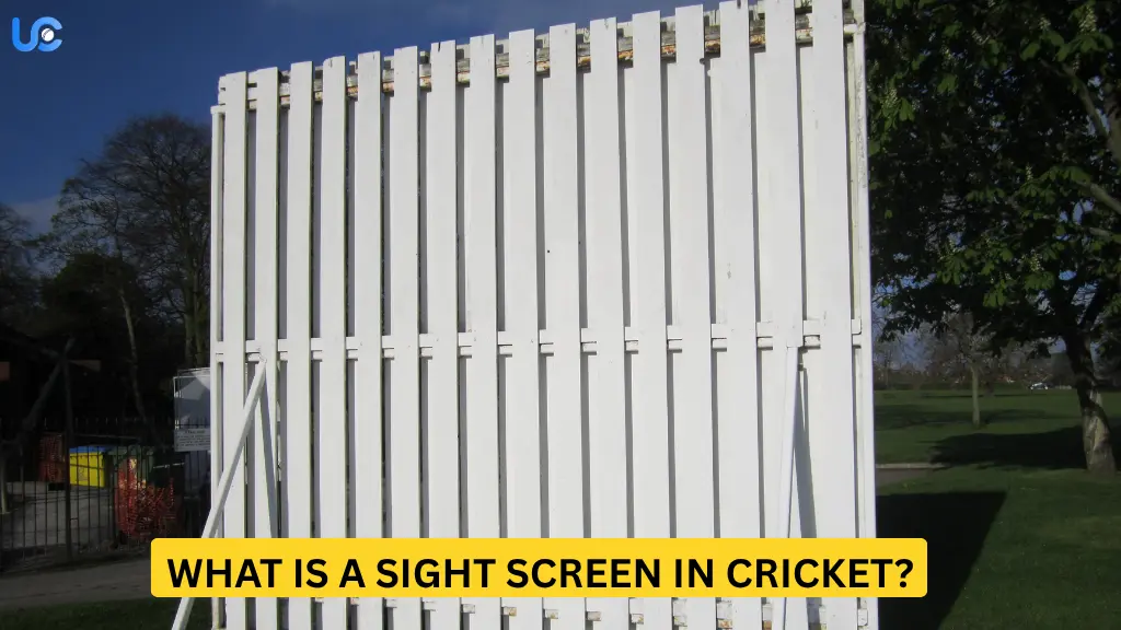 What is a sight screen in Cricket?